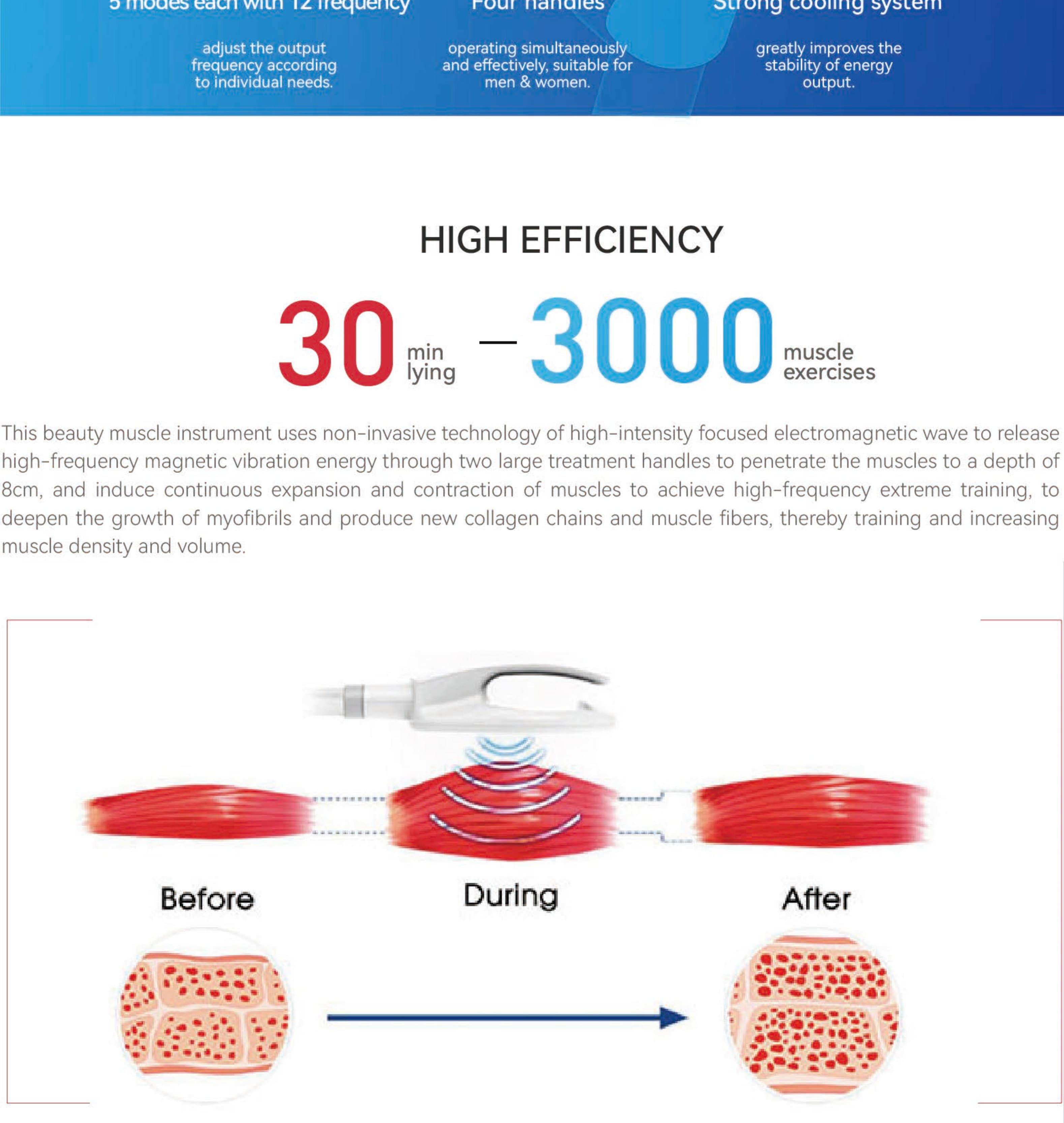 EMS-vertical-Brochure_00_03